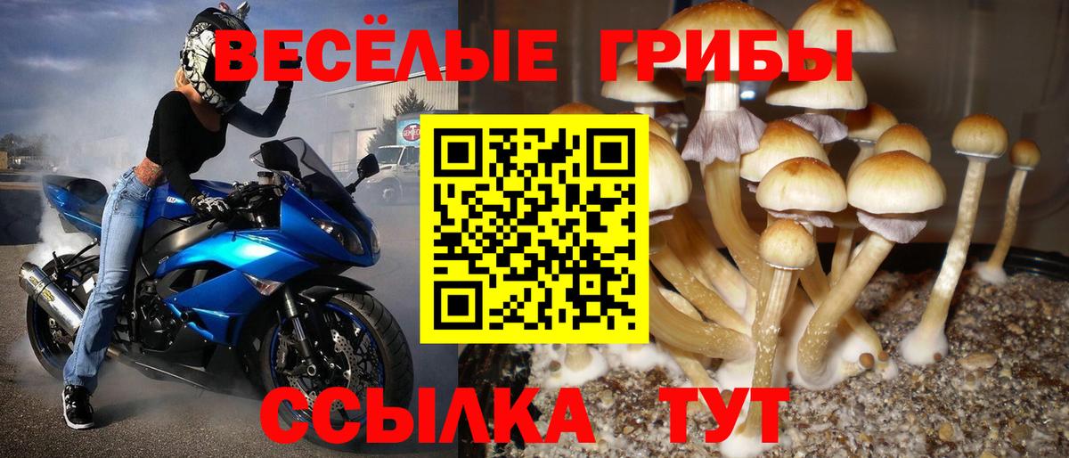 Псилоцибиновые грибы прущие грибы Лысьва